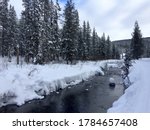 Snowy day in ‎⁨Custer Gallatin National Forest⁩, ⁨West Yellowstone⁩, ⁨Montana⁩, ⁨United States⁩