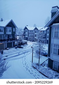 Snowy Day In Langley, BC