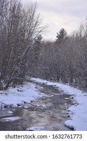 Snowy Day At Mission Creek Greenway