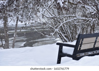 Snowy Day At Mission Creek Greenway