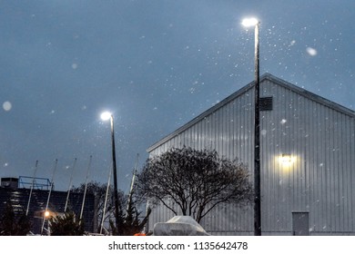 Snowy Day At Old Dominion University