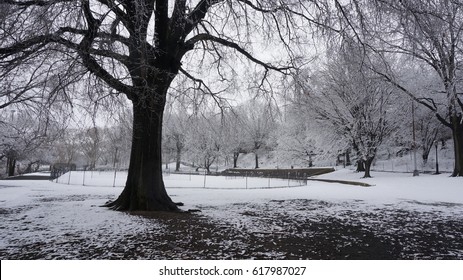 A Snowy Day In Riverside Park, Manhattan