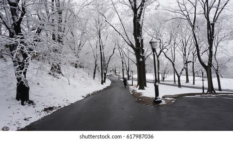 A Snowy Day In Riverside Park, Manhattan