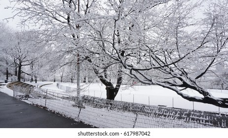 A Snowy Day In Riverside Park, Manhattan