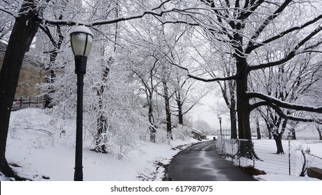 A Snowy Day In Riverside Park, Manhattan