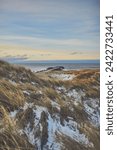 Snowy dunes at Danish beach on cold winter day. High quality photo