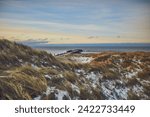 Snowy dunes at Danish coast on cold winter day. High quality photo