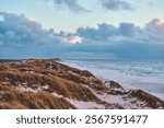 Snowy Dunes at denmarks north sea coast. High quality photo