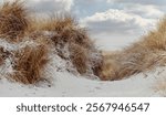 
Snowy dunes on the Baltic Sea beach