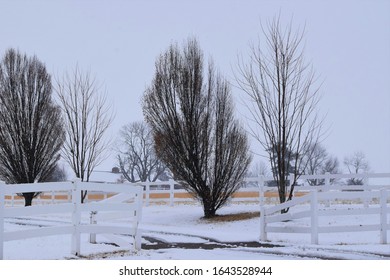 Snowy Farm Scene With A Fence And Trees