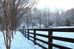 Snowy Fence In Front Of Pasture
