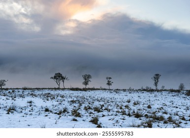 Snowy Field with Bare Trees and Dramatic Sky - Powered by Shutterstock