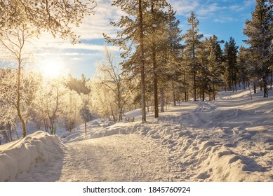 Schneewaldlandschaft bei Sonnenuntergang, gefrorene Bäume im Winter in Saariselka, Lappland, Finnland