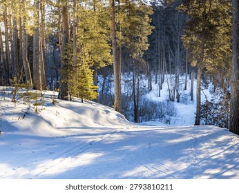 Snowy forest with a path through it. The snow is deep and the trees are bare. The sun is shining through the trees, creating a peaceful and serene atmosphere