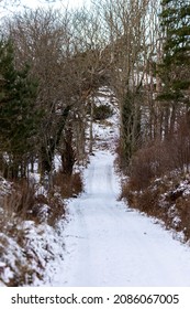 Snowy Forest Road In Rural Scandinavia. No People In Winter Scene.