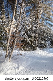 Snowy Forest Trail In Arrowhead Park Ontario