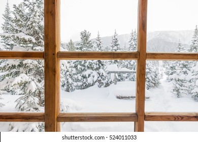 Snowy Forest Trees In The Snow Outside The Window With A Wooden Frame.