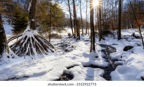 Snowy forest with a winding stream and sunlight filtering through bare trees. Large roots and soft snow textures highlight the peaceful landscape - Powered by Shutterstock