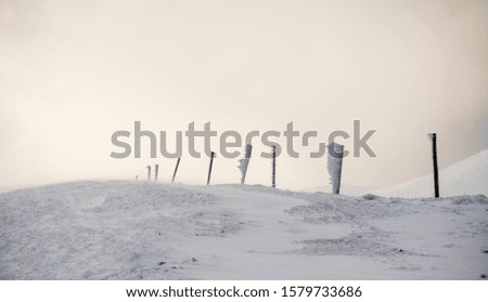 Similar – Foto Bild Winterfreuden Eis Frost