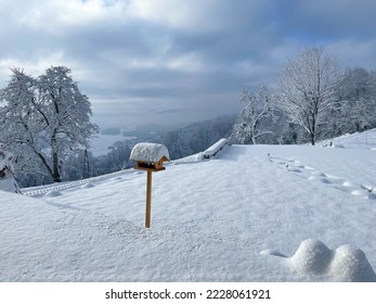 Snowy garden with wooden bird feeder covered with blanket of freshly fallen snow. Garden feature for food supply, shelter and birdwatching in the backyard. Caring for birds in cold winter season. - Shutterstock ID 2228061921