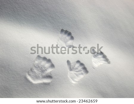 Snowy hand prints