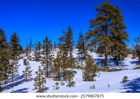 Similar – Image, Stock Photo View of snowy hillside in Iceland