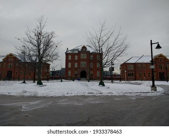 Snowy Humber College Lakeshore Campus