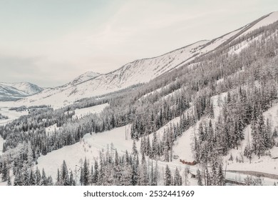 Snowy landscape with dense forests, a winding road, and rustic brown cabin beneath gentle, snowy slopes under a soft, cloudy sky. - Powered by Shutterstock