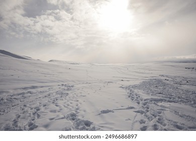 Snowy landscape with footprints and tracks  - Powered by Shutterstock