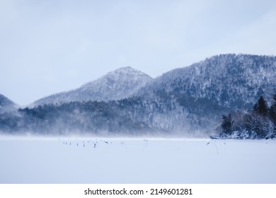 Snowy landscape of Hokkaido Japan