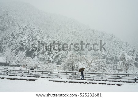Snowy landscape in Kawaguchiko with a guy holding umbrella walking while snowing, Japan, Tree and mountain covered by white snow, Winter forest and mountain