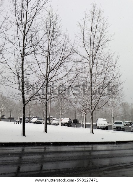 Snowy landscape - parking\
lot