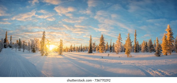 Snowy landscape at sunset, frozen trees in winter in Saariselka, Lapland, Finland - Powered by Shutterstock