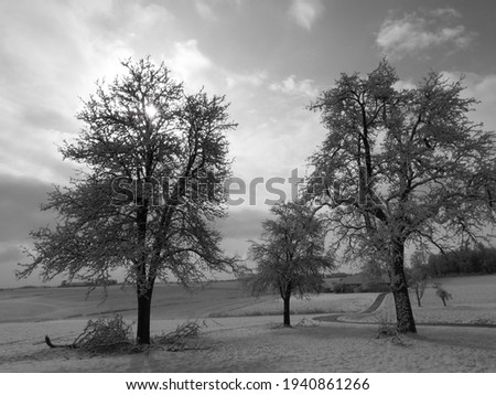 Similar – behind tree gate right