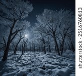 A snowy landscape under a full moon, where frost-covered trees sparkle in the moonlight, and the snow glistens as it crunches beneath your feet.