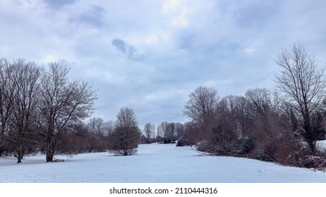 Snowy Meadow In The Park With Cloudy Sky And Bald Trees And Bushes