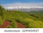 Snowy Mount Hermon with green landscape during spring