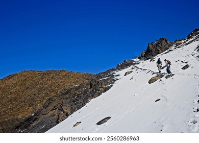 Snowy Mountain Hike in Bolivia
Two hikers ascend a snow-covered slope in Bolivia, surrounded by rugged terrain and a clear blue sky, showcasing the country's diverse and challenging landscapes. - Powered by Shutterstock