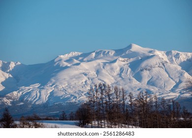 Snowy mountain peaks and larch forests on a clear winter day, Mt. Tokachidake
 - Powered by Shutterstock