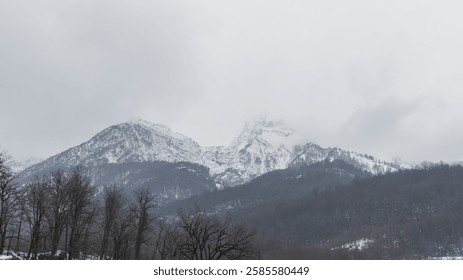 Snowy mountain range amid clouds, trees changing with altitude, evokes peace and calm.