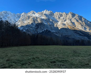 Snowy mountain range with a forested base viewed on a sunny day from Königssee across a green grass field near Saint Bartholomew's Church, Germany. A stunning alpine landscape.