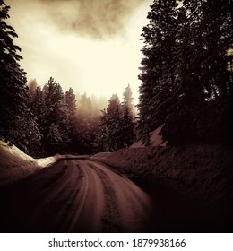 Snowy Mountain Road To Bogus Basin