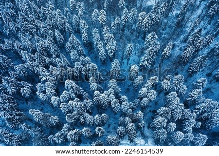 Similar – Winter in the Giant Mountains near Pec pod Snezkou, Czech Republic