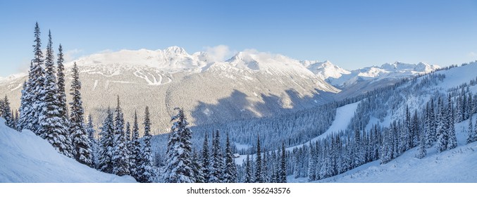 Snowy mountain trees with a view overlooking Blackcomb Mountain. 