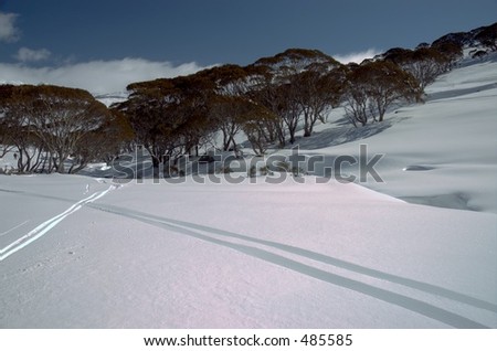 In the snowy mountains