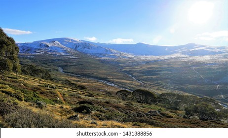 Snowy Mountains The Australian Alps