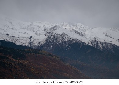 Snowy mountains and autumn forests on cloudy day - Powered by Shutterstock