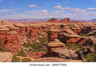 Snowy Mountains Beyond the Desert in Canyonlands National Park in Utah