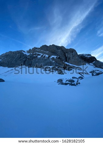 Similar – Image, Stock Photo In the snow Nature