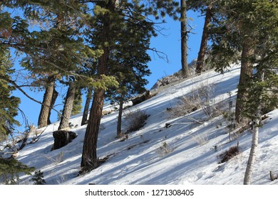 Snowy Mt. Charleston